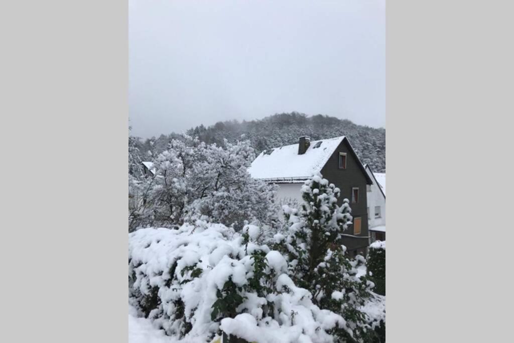 Dream Green Apartment 'Meadow' Gladenbach ภายนอก รูปภาพ
